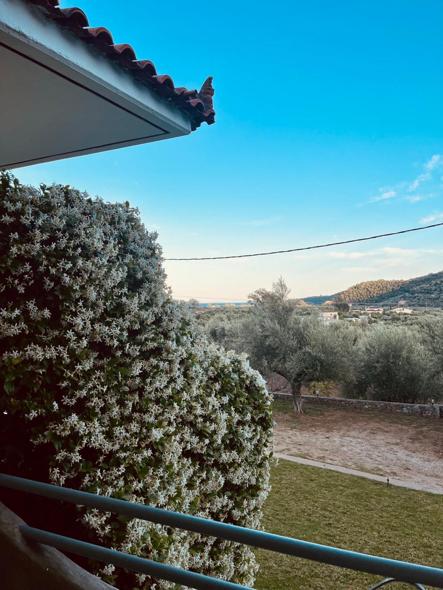 Nefeli Studios Vathí Buitenkant foto